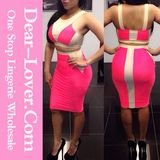 White Rosy Two-Tone Bodycon Skirt Set