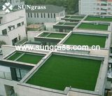 Synthetic Turf Carpet for Playground or Landscape (SUNQ-HY00002)