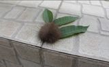 Natural Fur Ball Rabbit Fur Scarf Es628-7