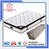 10 Inch Pillow Top Pocket Spring Mattress with Foam Encased