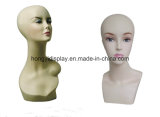 Ladies Head Mannequins for Shopfront Display