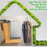 Aluminum Framed Double Glazed Window, High Quality American Style Aluminum Awning Window for Residential Building
