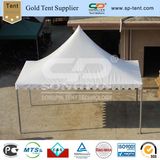 3X6m Rectangle Pagoda Tent in Rectangular Shape (SP-CZ36)