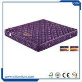 Wholesale Box Spring Latex Foam Base Steel Folding Mattress Foundation