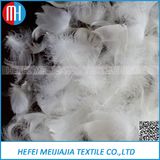 Wholesale White or Grey Duck Feathers