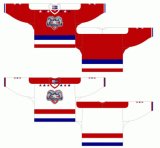 Customized Western Hockey League Billings Bighorns Ice Hockey Jersey