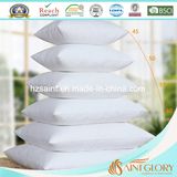 Classic Factory Price White Duck Feather Cushion Home Scatter Cushion