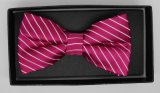New Design Fashion Men's Woven Bow Tie (DSCN0018)