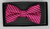 New Design Fashion Men's Woven Bow Tie (DSCN0018)