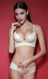 Hot Sexy Seamless Underwear with Factory Price for Ladies (CLS023)