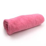 Hot Sale Factory Direct Price Towel Clip Beach