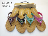 New and Fashion Style PVC Slipper for Women