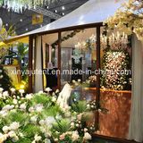 Quality Luxury Tents Luxurious Outdoor Furniture