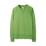 Custom Cotton/Polyester Dyed Pullover Sweatshirt of Fleece Terry (F009)