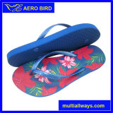 Hot PE Colorful Summer Slippers for Women (T16100)