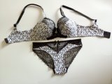 OEM Women's Bra and Panty Set with Laces