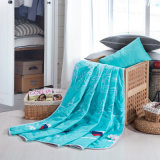 Euro Style Printed Microfiber Spring Summer Quilted Blanket