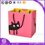 Custom Printing Paper Packaging Bag for Shopping