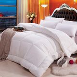 Hotel Luxury Duvet Premium Soft Down Alternative Comfoter Set