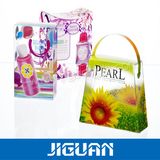 Plastic Printed Bag/Package Bag/Film (DC-BAG003)