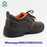 Acid-Proof Alkaline Waterproof Safety Shoes