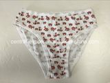 New Design Lady Underwear Women Sexy Lingerie Underwear Women Slip with Eco Permit