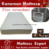 Fireproof Spring Mattress with Cheap Price