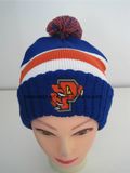 Fashion Knitted Winter Embroidery Hat Beanie