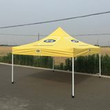 Factory Wholesale Custom Print Oudoor Advertising 10X10 Canopy Tent