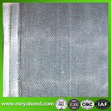 Top Grade 5 Years Guranteed Anti-Insect Net