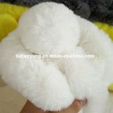 Fashion Women Rex Rabbit Fur Scarf Wholesale