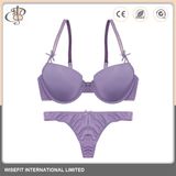 Customized Sexy Bra Ladies Underwear Panty Sets