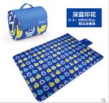 Competitive Price Blue Printed Microfiber Picnic Blanket