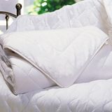 Hotel/Home Duck Down Quilt Bedding Duvet (DPF1082)