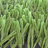 U Shape Flooring Carpet for Football Field 50mm Height