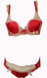 Sexly Palace Style Ladies Lingerie Set with Beautiful Lace (PPD402)