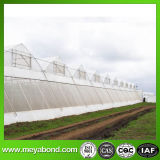 5.5 M Width UV Stabilized 50 Mesh Greenhouse Anti Insect Net