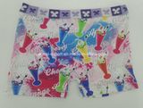 New Print Design Children Underwear Boy Boexr Short Boy Brief with Eco Permit