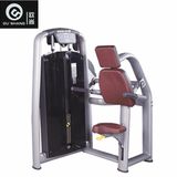 Pin Loaded Triceps Press Machine Sm8012 Gym Fitness Equipment