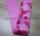 Factory High Quality Printing Webbing for Garment Accessories Webbing