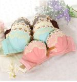 Wholesale Price Sexy Bra and Panty Underwear Set with Lace