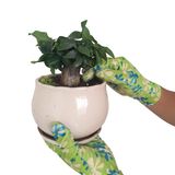 13 G Knitted Polyester Gloves of Garden Gloves Coated Transparent Nitrile on Palm