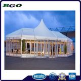 PVC Coated Tarpaulin Roofing Printing Tarpaulin (1000dx1000d 23X23 900g)