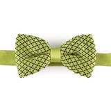 New Design Fashion Novelty Knitted Bowtie (YWZJ 85)