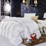Wholesale Chinese Custom Thick Down Quilt Duvet (DPFB8052)
