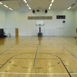 Shock Absorption PVC Vinyl Sport Flooring