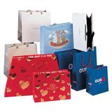 Paper Packaging Bag, Paper Shopping Bag, Paper Bag Printing