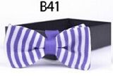 New Design Fashion Men's Knitted Bowtie (B41)