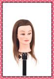 100% Human Hair Mannequin Head 14inches for Beauty School Training