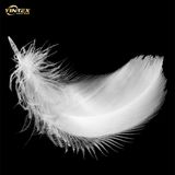 Wholesale China Washed White/Grey/Duck/Goose  Feather Down 